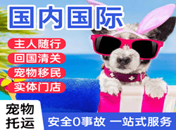 海西花土沟空运地址国际宠物托运 【国